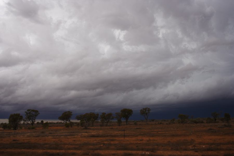 cumulonimbus thunderstorm_base : 10km S of Bourke, NSW   2 January 2007