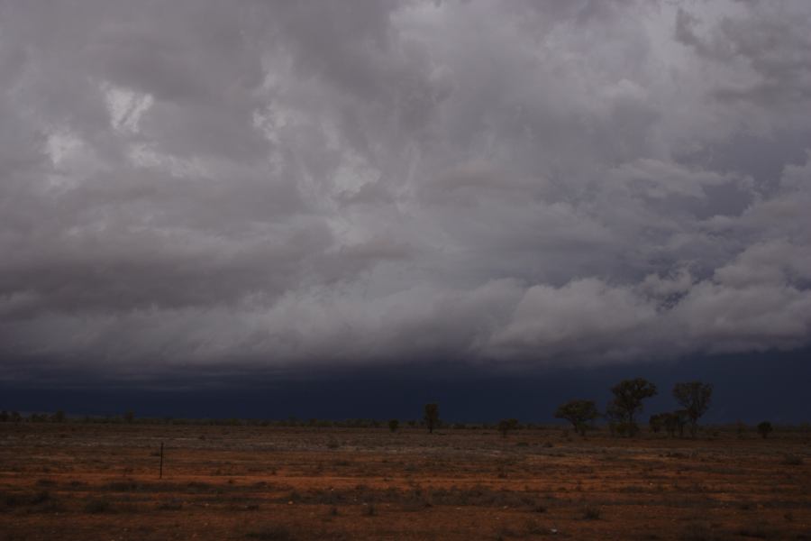 cumulonimbus thunderstorm_base : 10km S of Bourke, NSW   2 January 2007