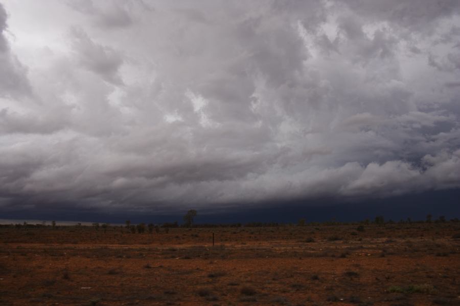 cumulonimbus thunderstorm_base : 10km S of Bourke, NSW   2 January 2007