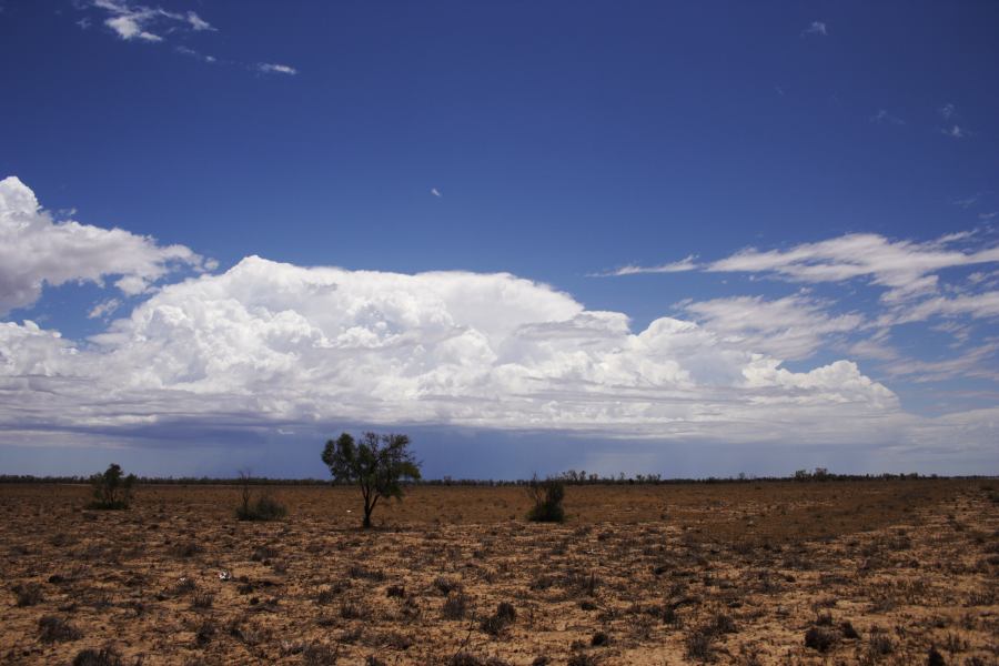 thunderstorm cumulonimbus_incus : ~20km N of Barringun, NSW   2 January 2007