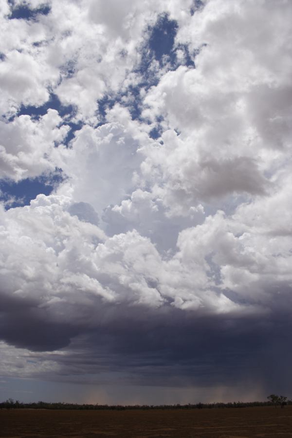 cumulonimbus thunderstorm_base : ~30km N of Barringun, NSW   2 January 2007
