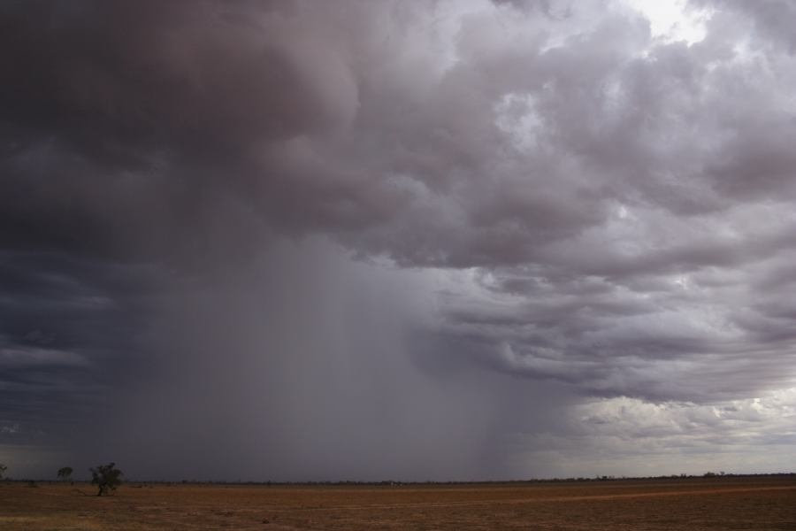 cumulonimbus thunderstorm_base : ~40km N of Barringun, NSW   2 January 2007