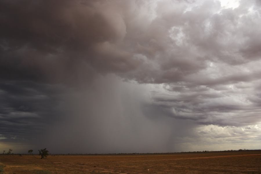 cumulonimbus thunderstorm_base : ~40km N of Barringun, NSW   2 January 2007