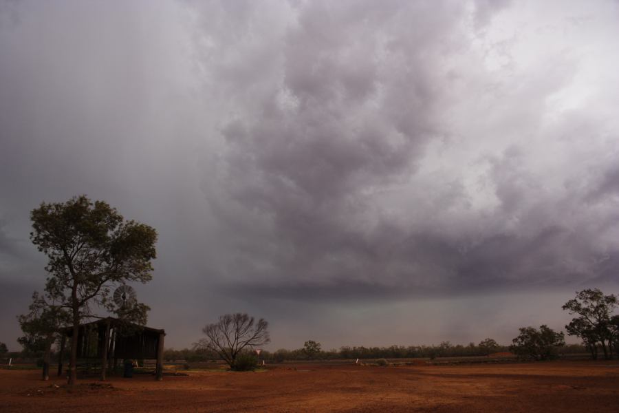 cumulonimbus supercell_thunderstorm : Barringun, NSW   2 January 2007