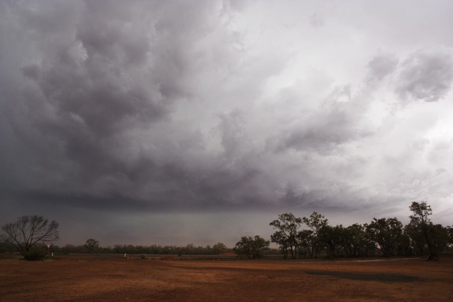 cumulonimbus thunderstorm_base : Barringun, NSW   2 January 2007
