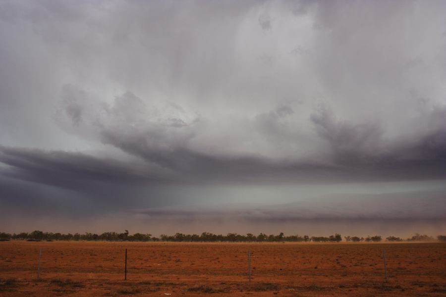 inflowband thunderstorm_inflow_band : 10km N of Barringun, NSW   2 January 2007