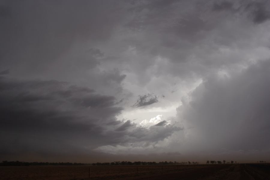 updraft thunderstorm_updrafts : 10km N of Barringun, NSW   2 January 2007