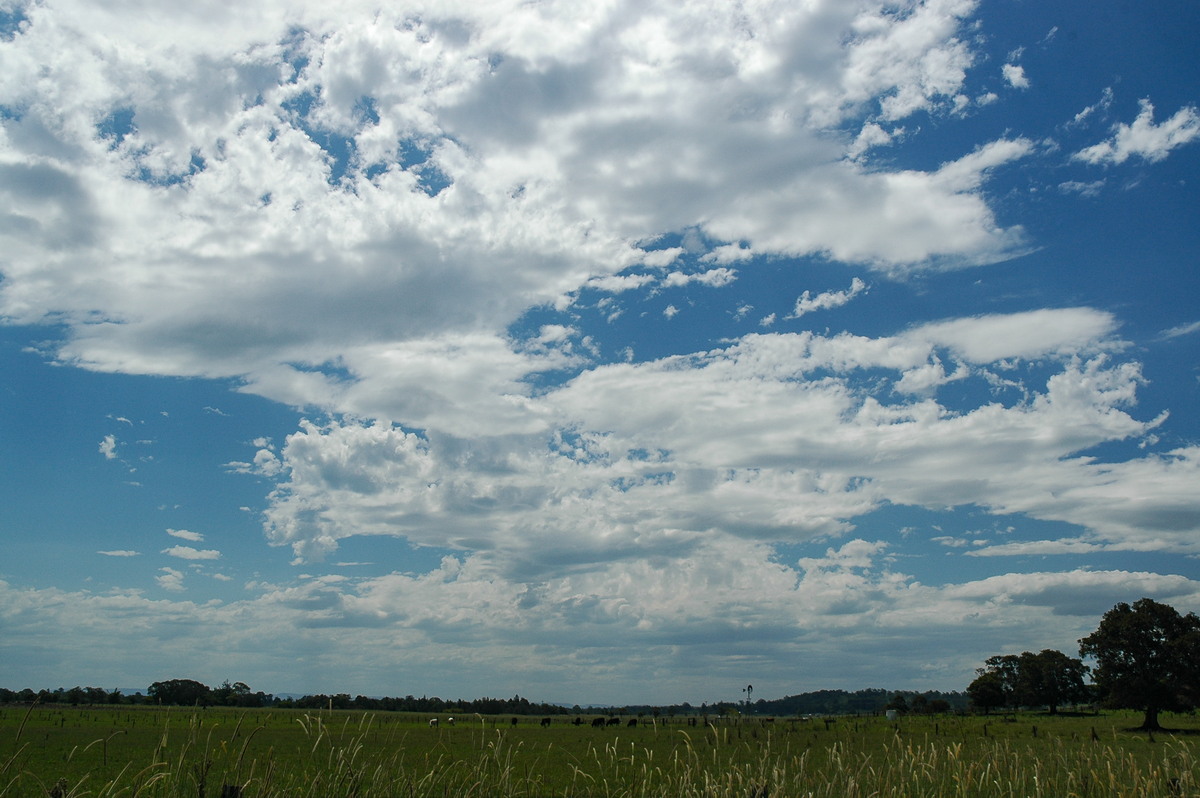 altocumulus castellanus : McKees Hill, NSW   8 January 2007