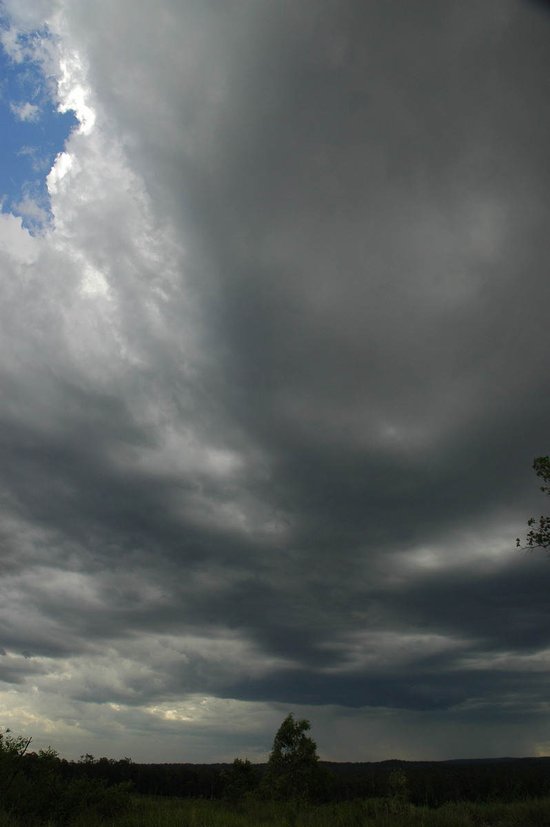 cumulonimbus thunderstorm_base : Whiporie, NSW   8 January 2007