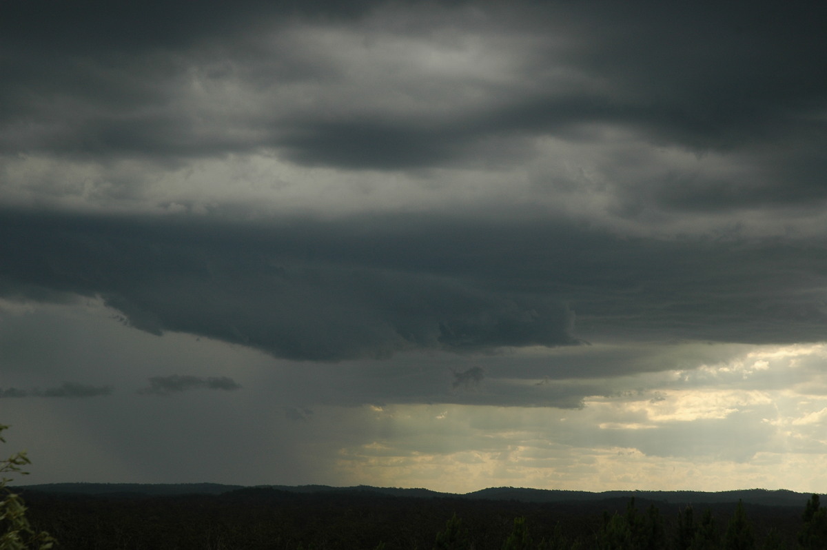cumulonimbus thunderstorm_base : Whiporie, NSW   8 January 2007