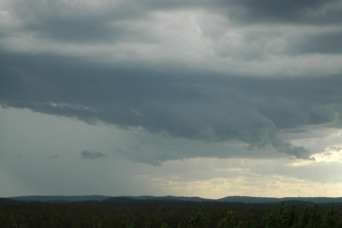 cumulonimbus thunderstorm_base : Whiporie, NSW   8 January 2007