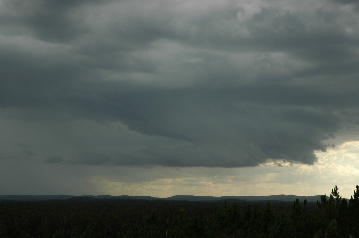 cumulonimbus thunderstorm_base : Whiporie, NSW   8 January 2007