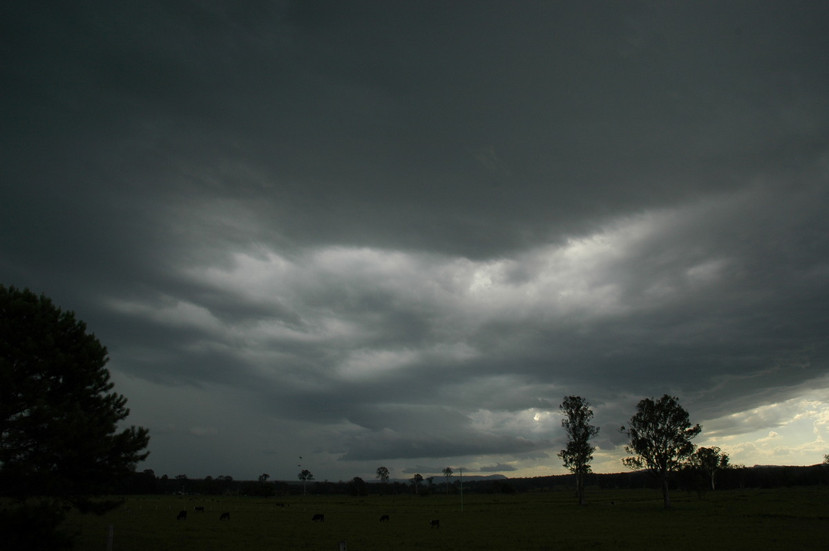 cumulonimbus thunderstorm_base : Whiporie, NSW   8 January 2007