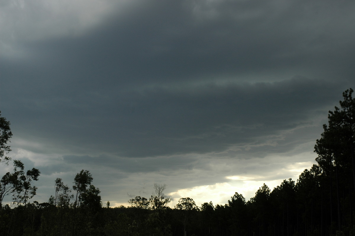 cumulonimbus thunderstorm_base : Myrtle Creek, NSW   8 January 2007