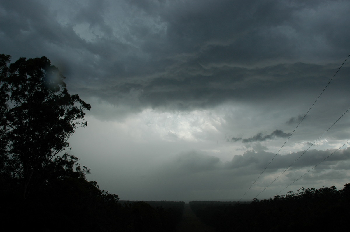 cumulonimbus thunderstorm_base : Rappville, NSW   8 January 2007