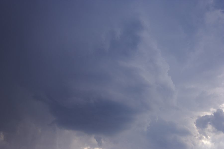 cumulonimbus thunderstorm_base : Agnes Banks, NSW   12 January 2007