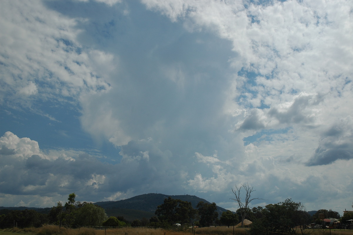 cumulus congestus : Tenterfield, NSW   12 January 2007