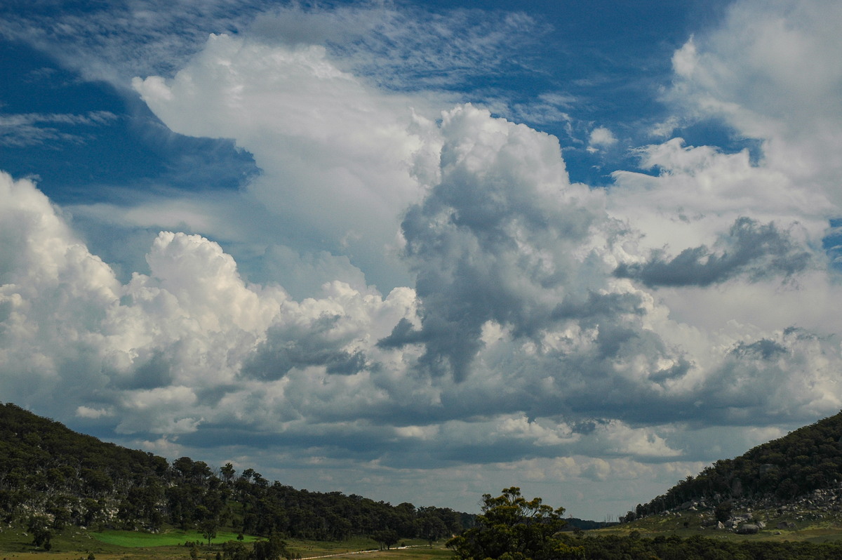 cumulus congestus : Tenterfield, NSW   12 January 2007