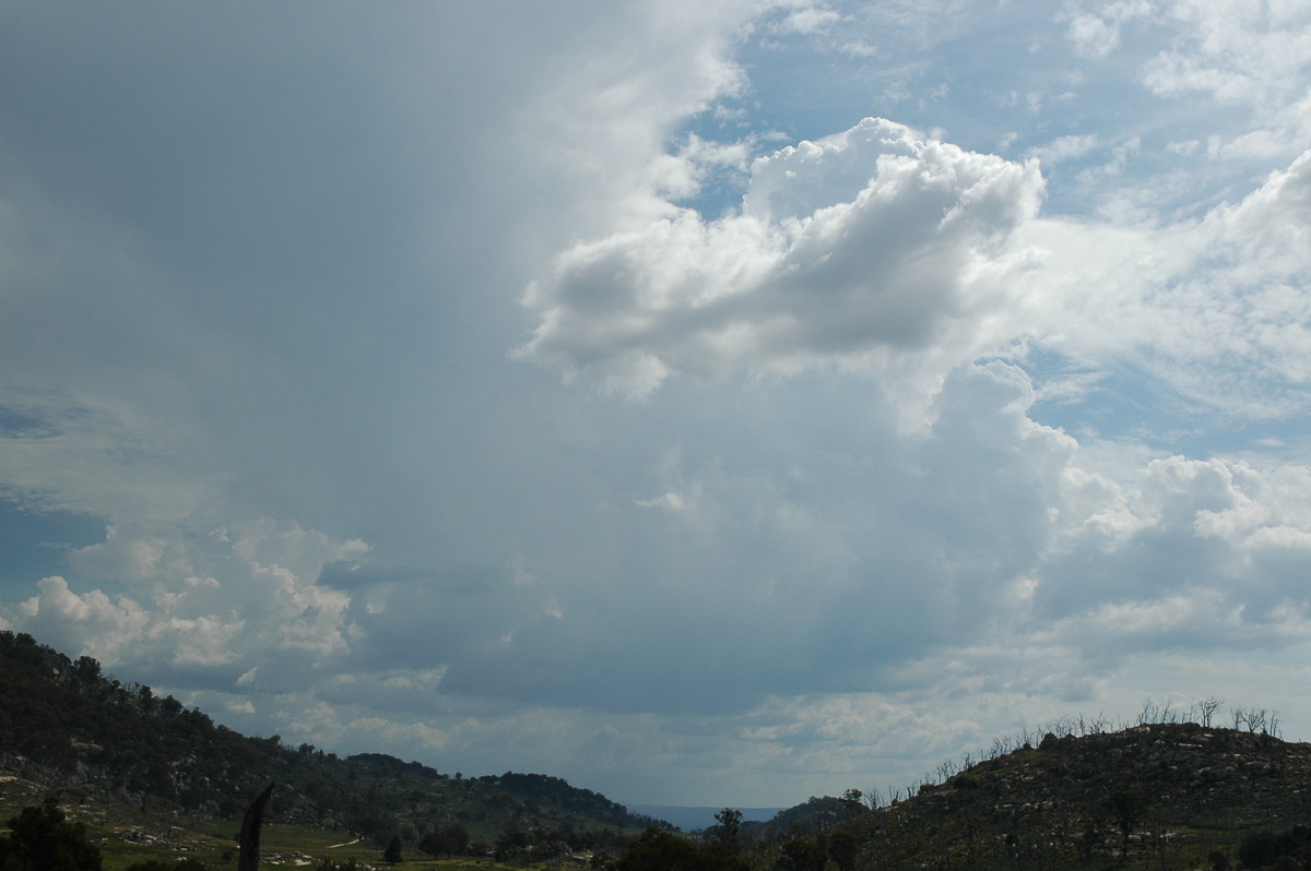 cumulonimbus thunderstorm_base : Tenterfield, NSW   12 January 2007