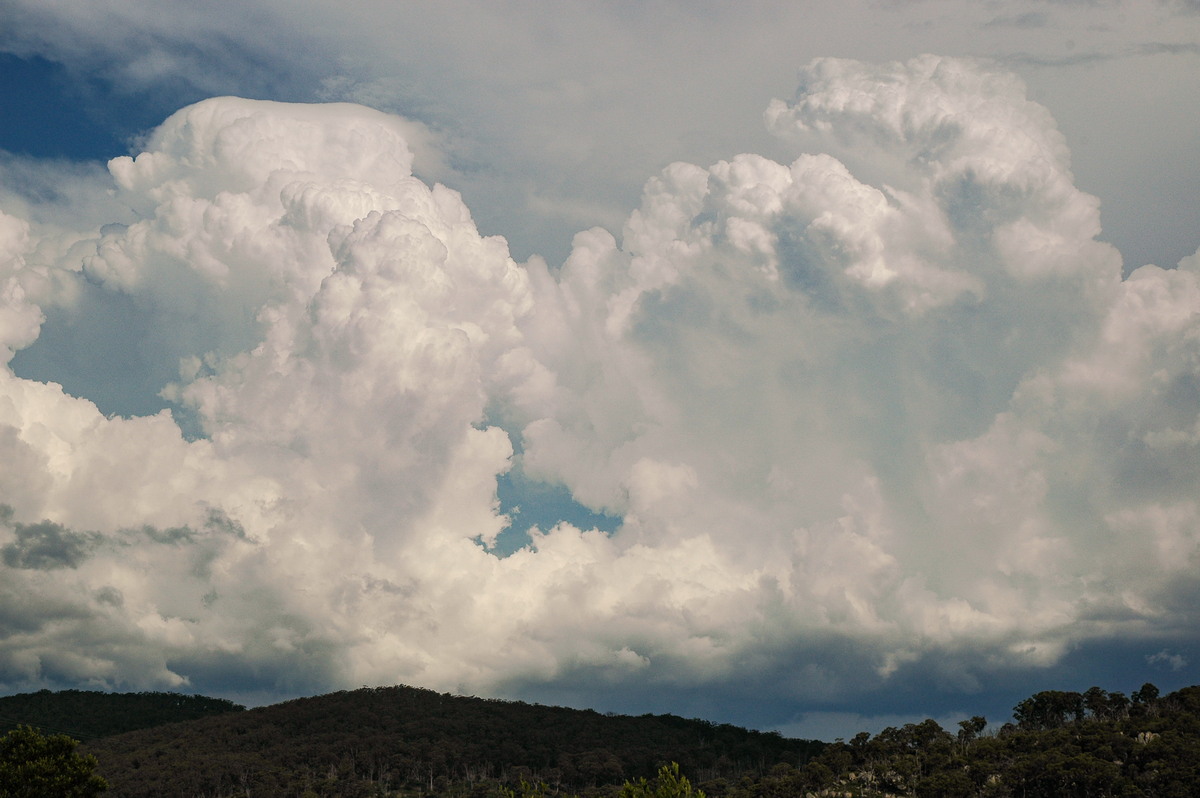 favourites michael_bath : Tenterfield, NSW   12 January 2007