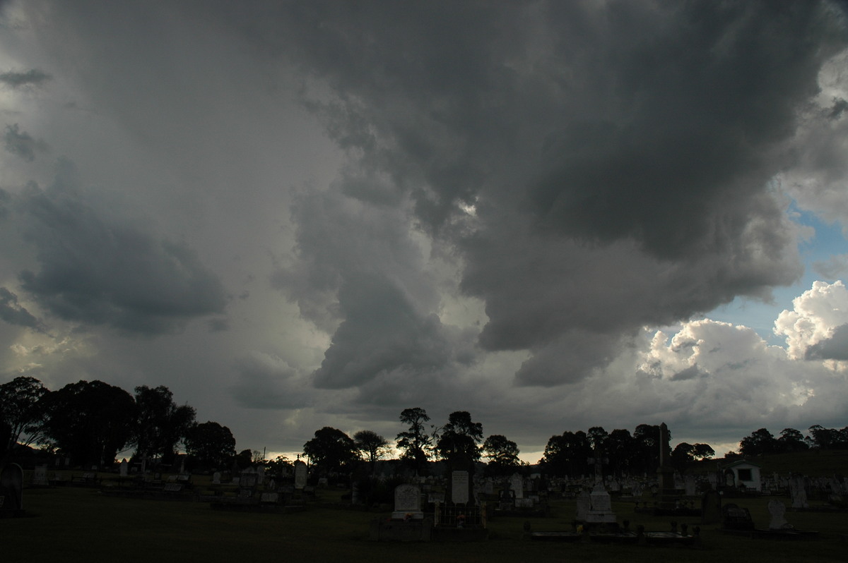 cumulonimbus thunderstorm_base : Tenterfield, NSW   12 January 2007
