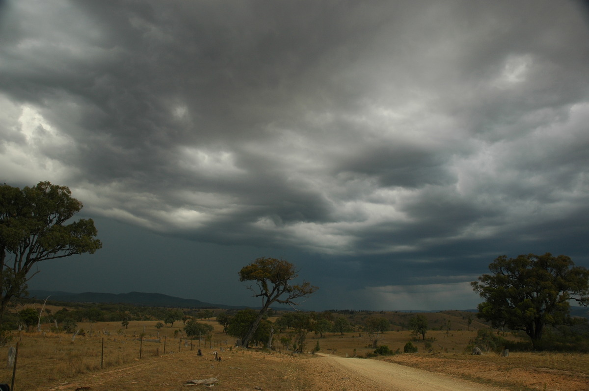 cumulonimbus thunderstorm_base : W of Tenterfield, NSW   12 January 2007