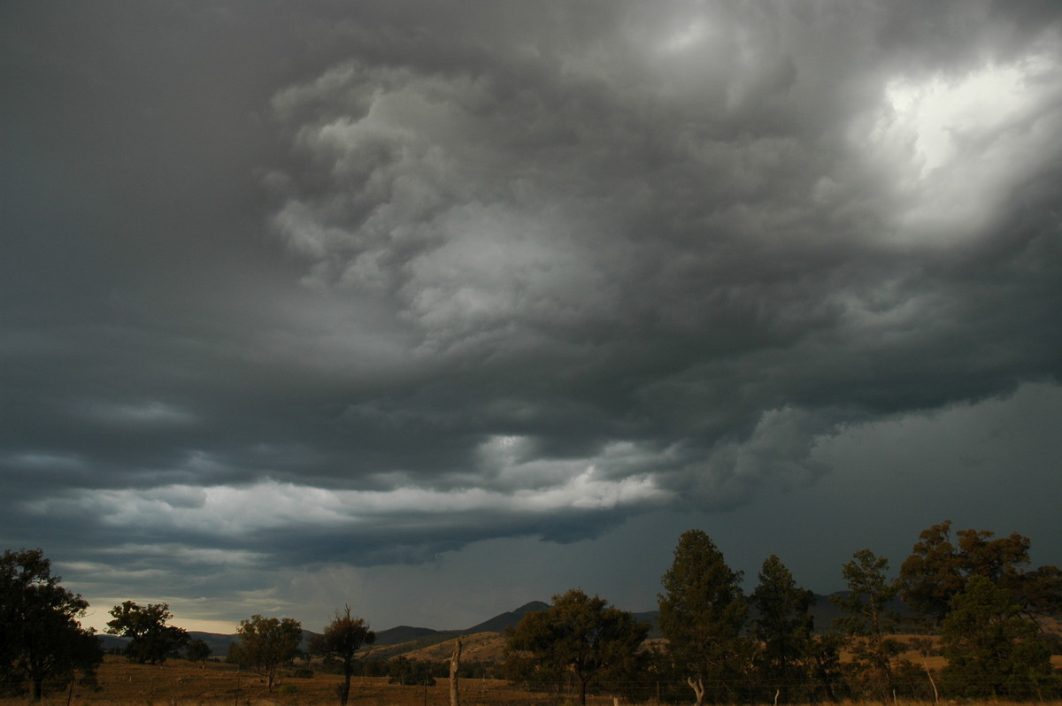 cumulonimbus thunderstorm_base : W of Tenterfield, NSW   12 January 2007