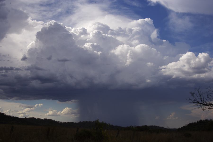 thunderstorm cumulonimbus_calvus : near Bonshaw, NSW   13 January 2007