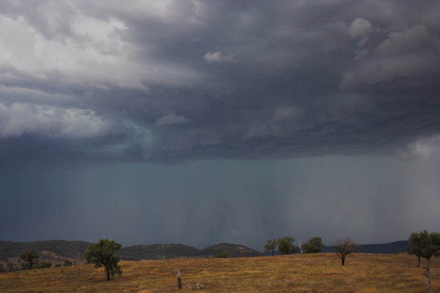 favourites jimmy_deguara : near Bonshaw, NSW   13 January 2007