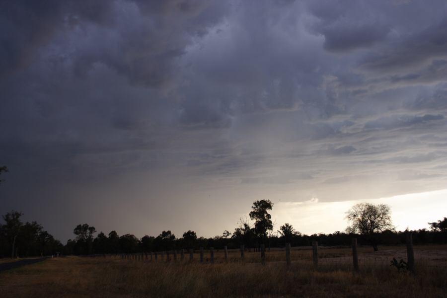 cumulonimbus thunderstorm_base : S of Inglewood, NSW   13 January 2007