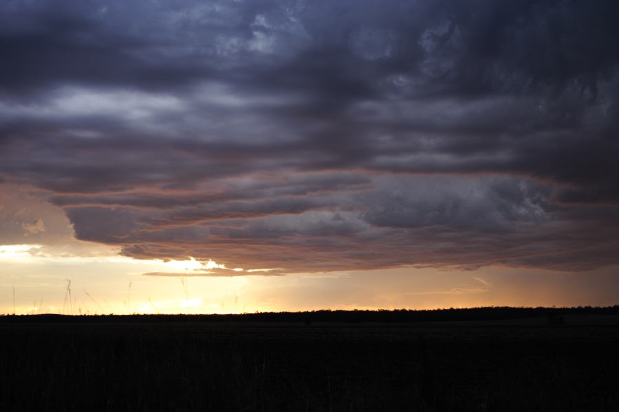 cumulonimbus thunderstorm_base : ~ 40km N of Inglewood, NSW   13 January 2007