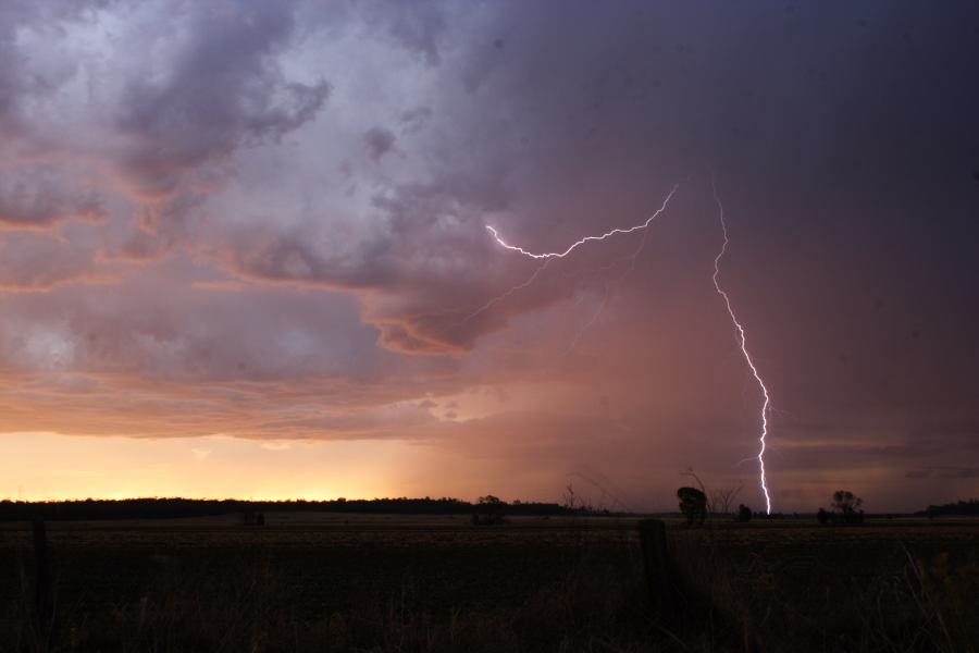 lightning lightning_bolts : ~ 40km N of Inglewood, QLD   13 January 2007