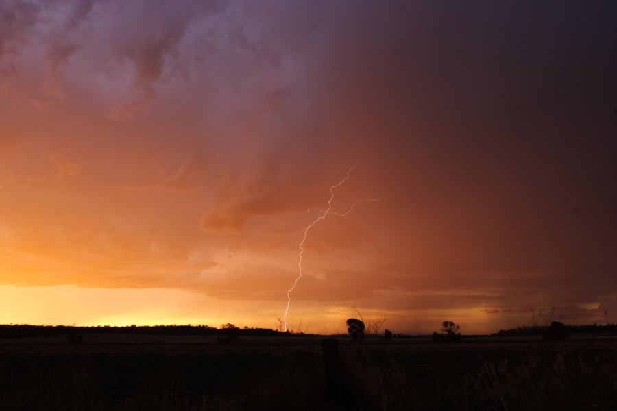 lightning lightning_bolts : ~ 40km N of Inglewood, QLD   13 January 2007
