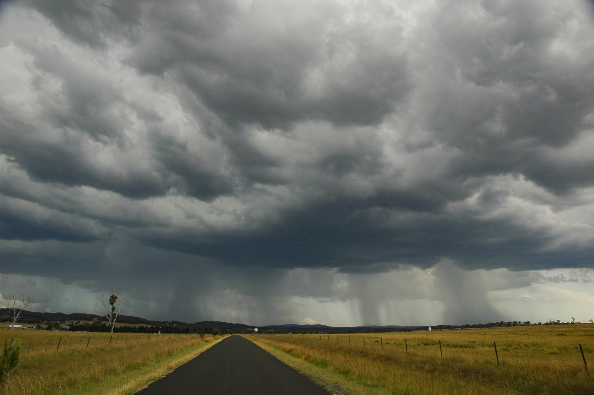 cumulonimbus thunderstorm_base : Deepwater, NSW   13 January 2007