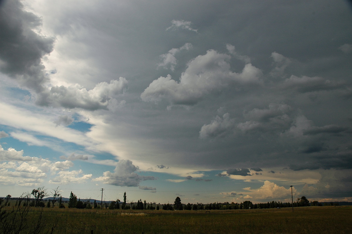 anvil thunderstorm_anvils : Deepwater, NSW   13 January 2007