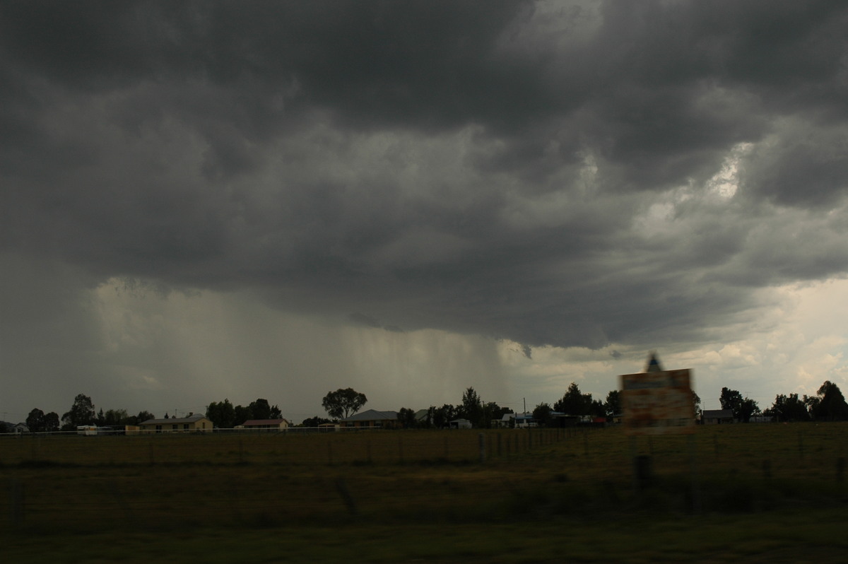 cumulonimbus thunderstorm_base : Deepwater, NSW   13 January 2007