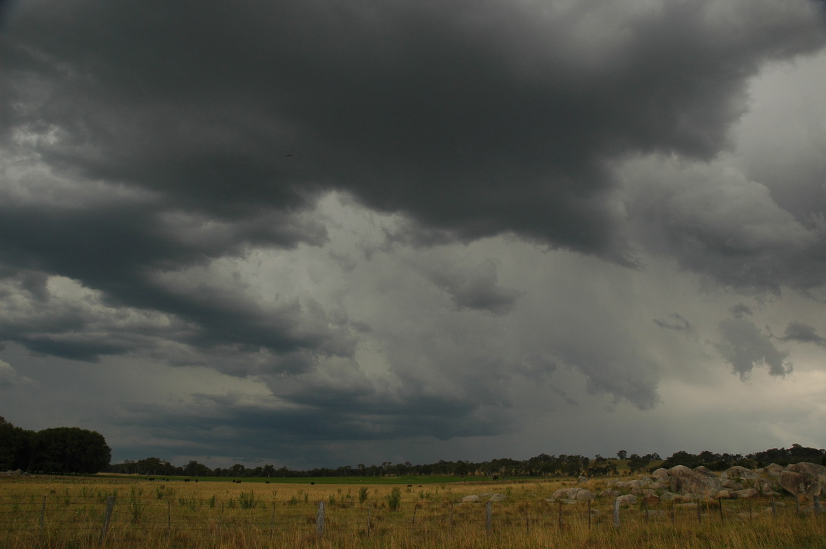 cumulonimbus thunderstorm_base : W of Deepwater, NSW   13 January 2007