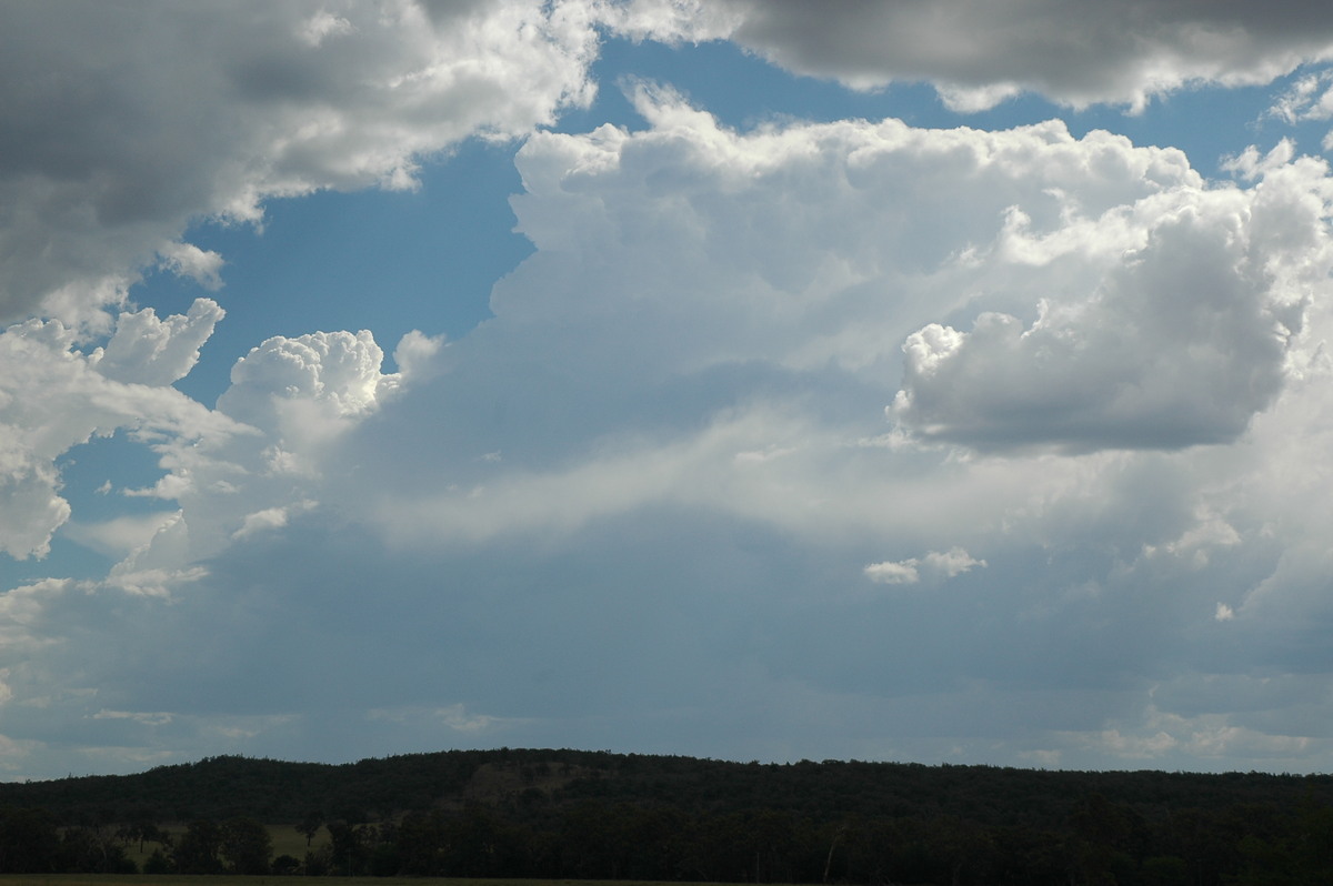 thunderstorm cumulonimbus_incus : W of Deepwater, NSW   13 January 2007