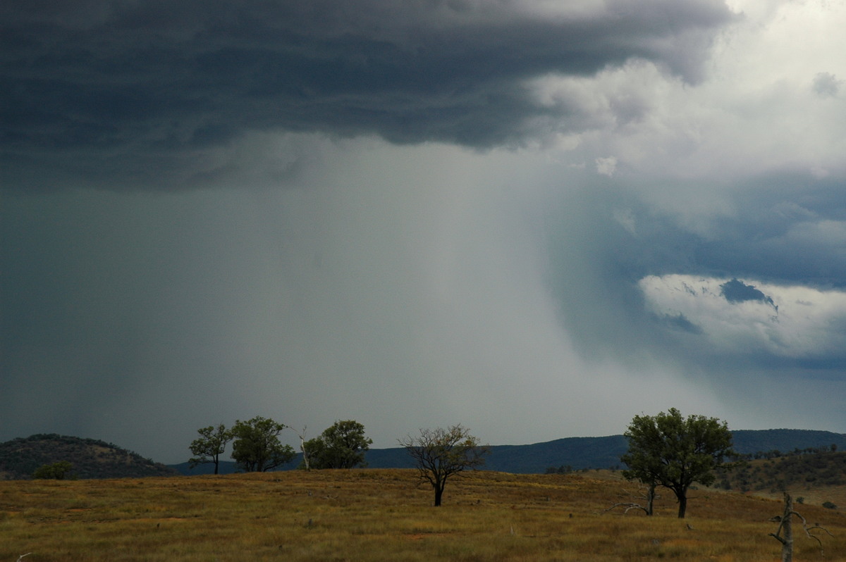 microburst micro_burst : near Bonshaw, NSW   13 January 2007