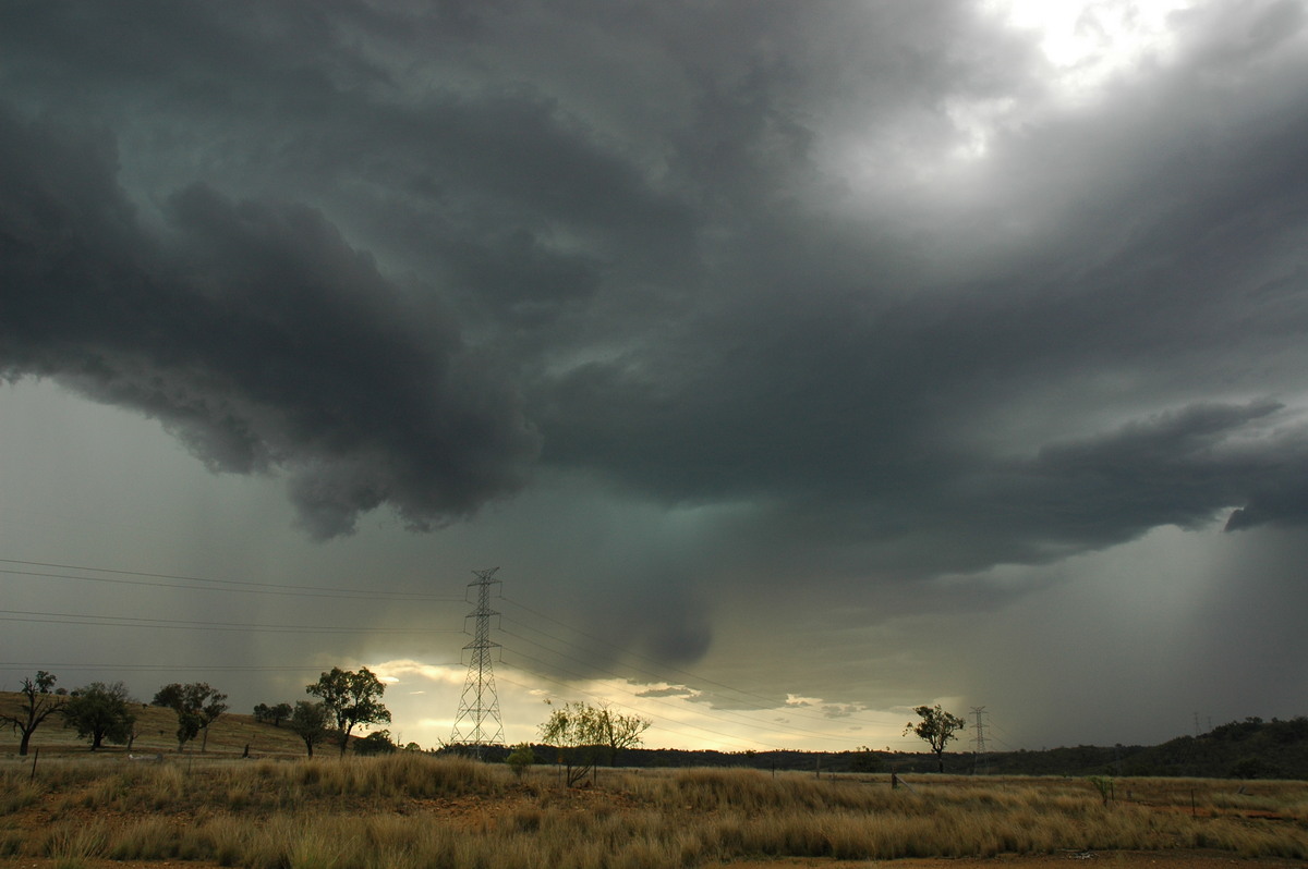 cumulonimbus thunderstorm_base : near Bonshaw, NSW   13 January 2007