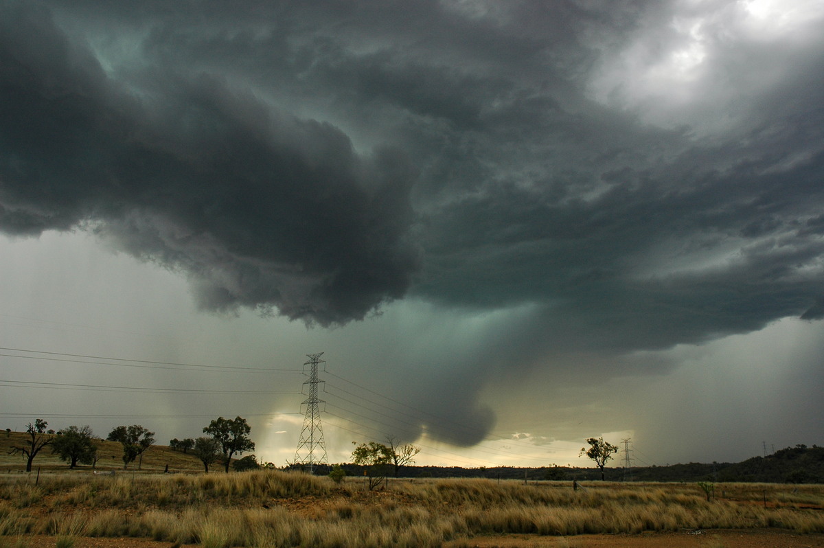 cumulonimbus thunderstorm_base : near Bonshaw, NSW   13 January 2007