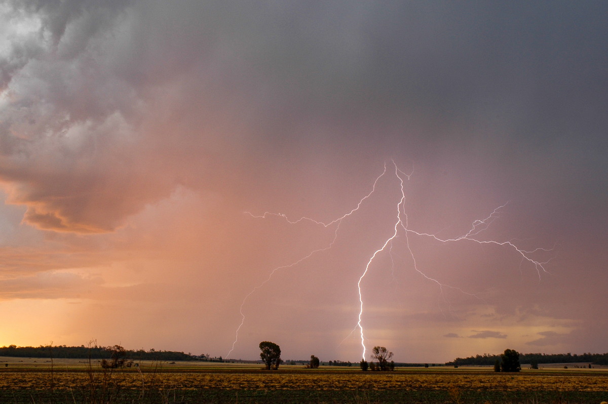 lightning lightning_bolts : near Milmerran, QLD   13 January 2007