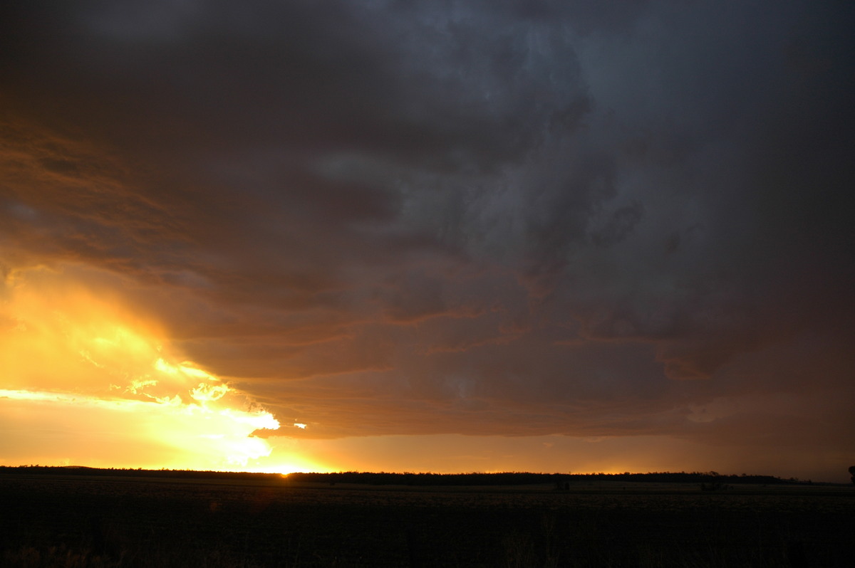 cumulonimbus thunderstorm_base : near Milmerran, QLD   13 January 2007