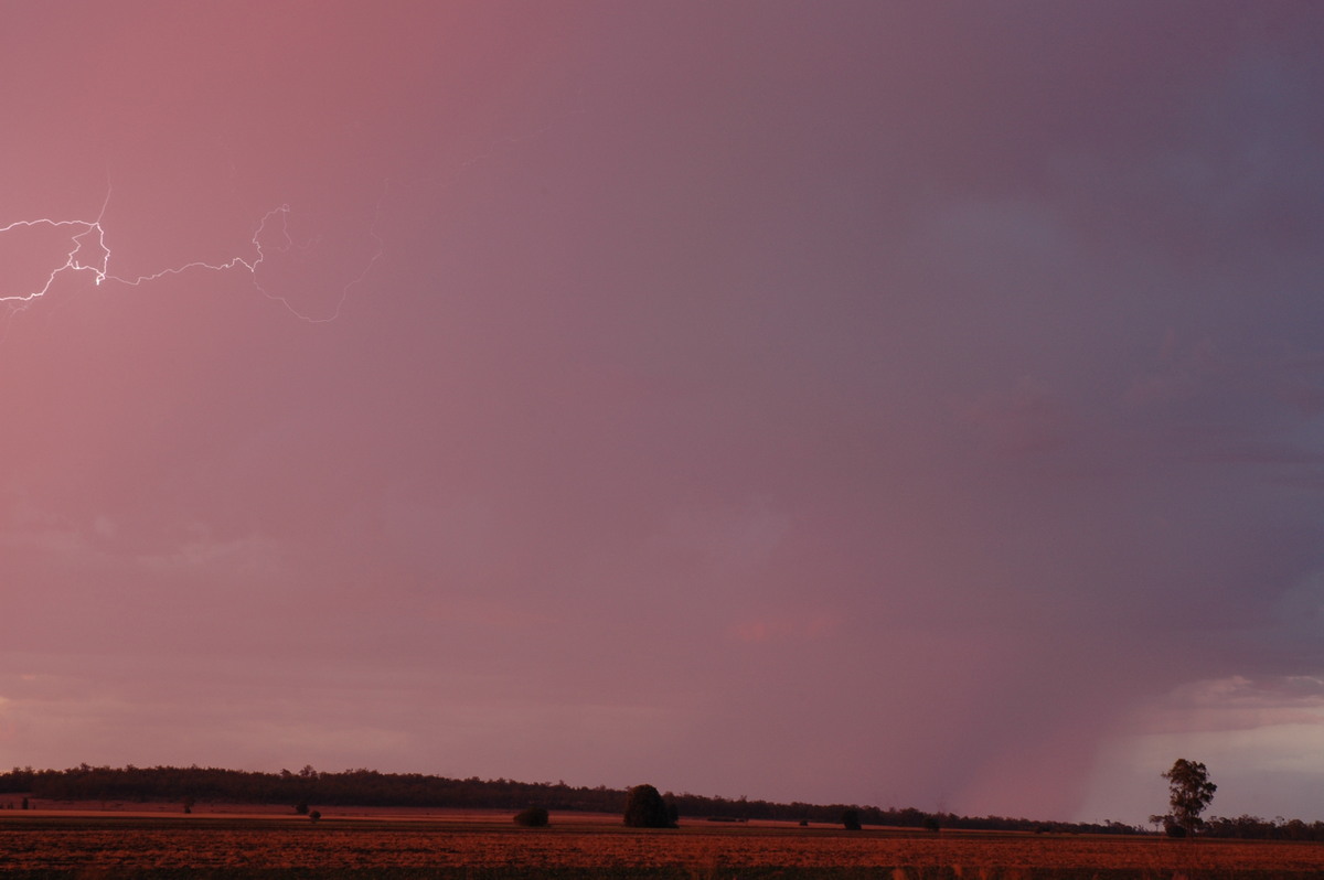 lightning lightning_bolts : near Milmerran, QLD   13 January 2007