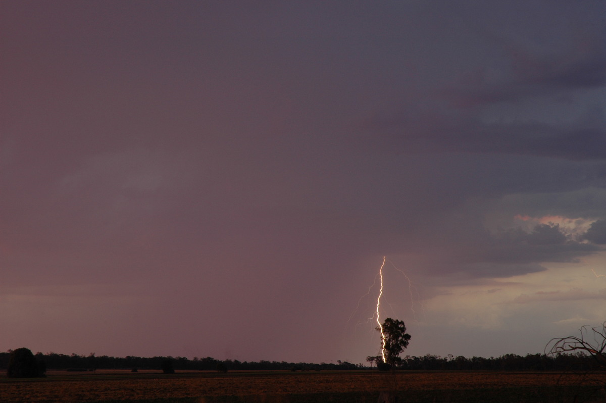 lightning lightning_bolts : near Milmerran, QLD   13 January 2007