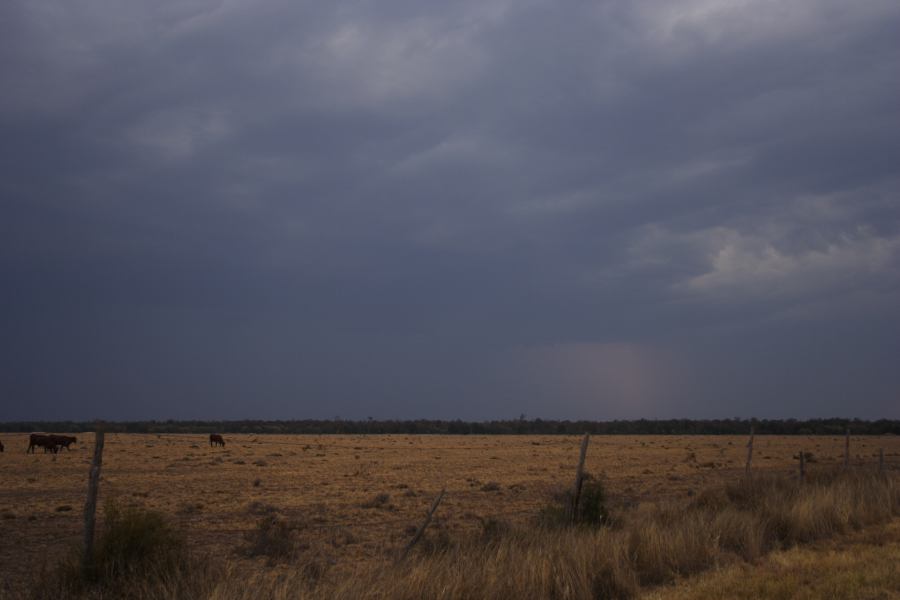 cumulonimbus thunderstorm_base : 40km N of Goondiwindi, NSW   14 January 2007