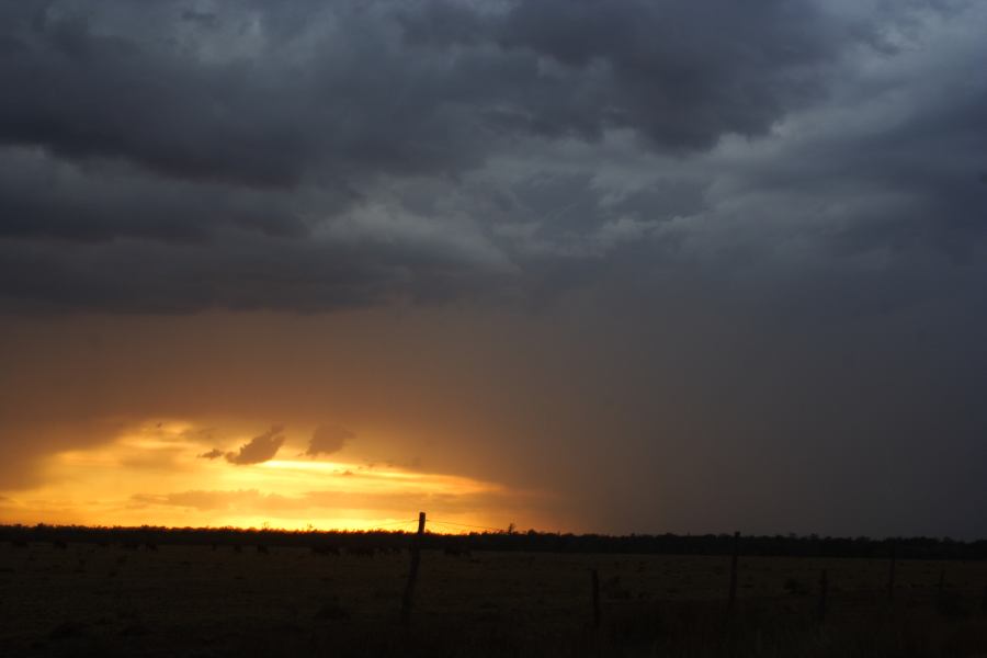 sunset sunset_pictures : 40km N of Goondiwindi, QLD   14 January 2007