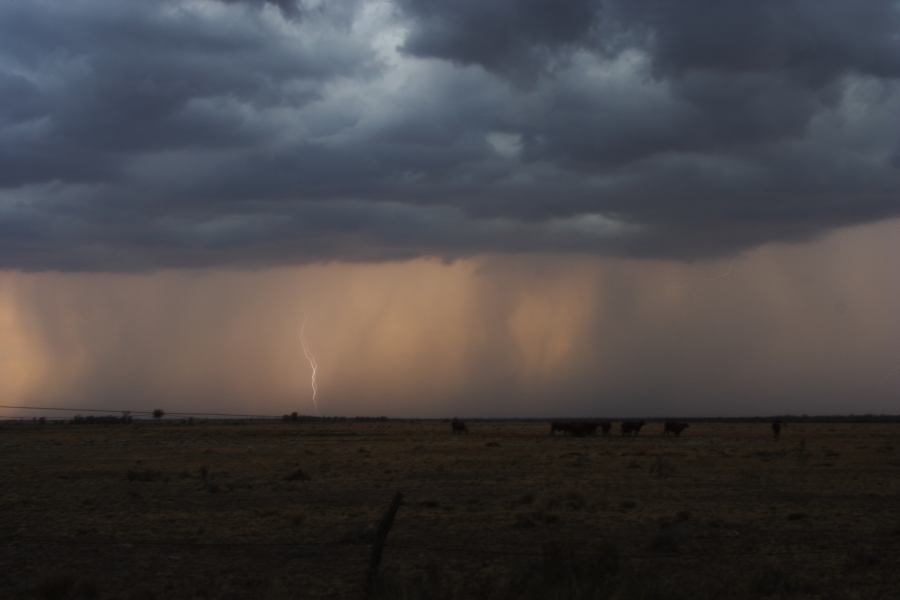 lightning lightning_bolts : 40km N of Goondiwindi, QLD   14 January 2007
