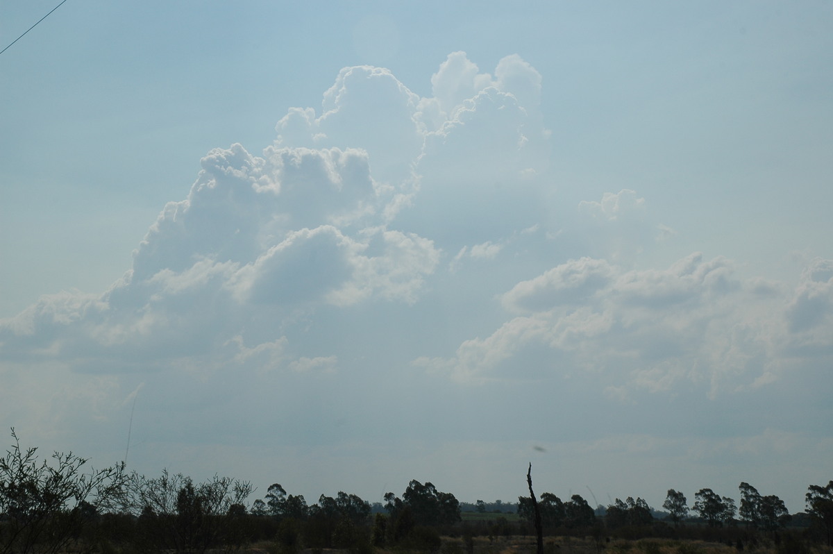 cumulus congestus : SW of Milmerran, QLD   14 January 2007