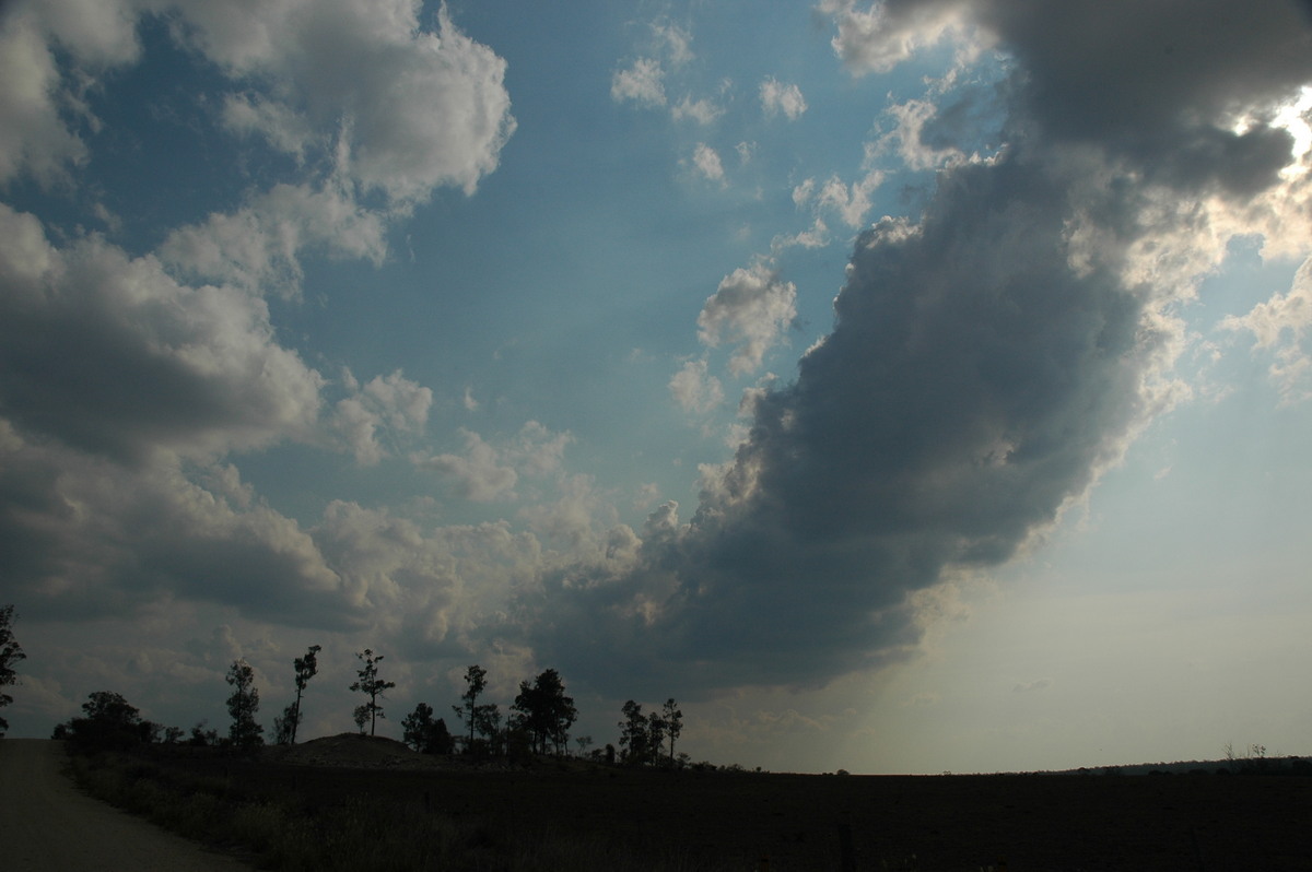 cumulus mediocris : SW of Milmerran, QLD   14 January 2007
